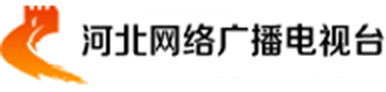 河北网络广播电视台